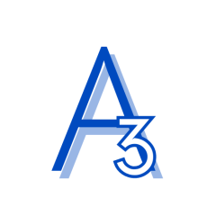 A3 (1)
